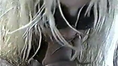 El vídeo sexual de Pam Anderson y Tommy Lee