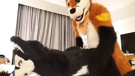 jugar al fursuit con un amigo