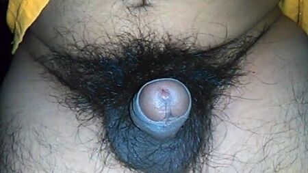Pene pequeño, sin circuncidar, moreno y muy peludo