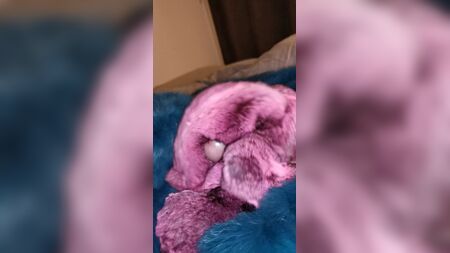 Dos corridas seguidas sobre piel de chinchilla